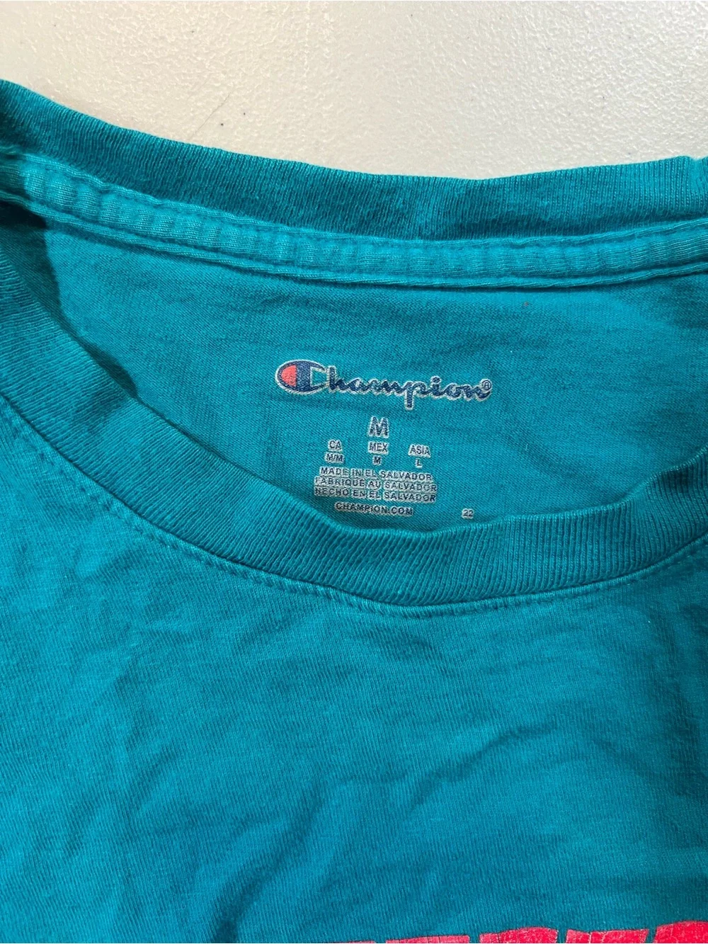 Champion Graphic Mountain Logo T Shirt Men’s Medium Teal Retro Style - Picture 3 of 4